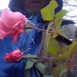 Meet your Posher, Cleve